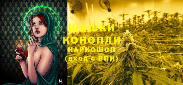 хмурый Бронницы