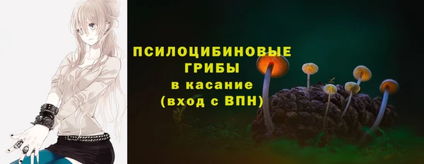 MDMA Бородино