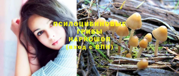 кристаллы Ступино