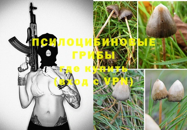 спиды Бугульма