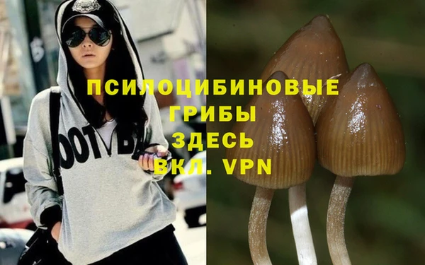 ГАЛЛЮЦИНОГЕННЫЕ ГРИБЫ Богородицк