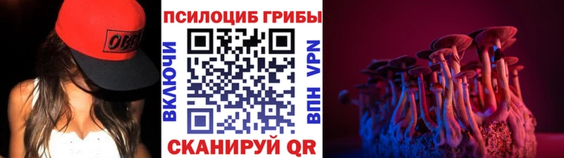 Псилоцибиновые грибы GOLDEN TEACHER  где можно купить наркотик  Гусь-Хрустальный 